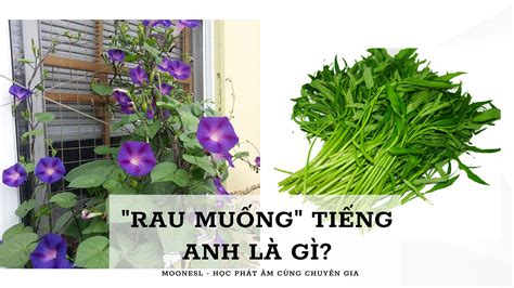  Bánh Cam: Liệu Sự Giòn Rụm Của Vỏ Bột Bao Hộp Bí Mật Ngọt Bên Trong?